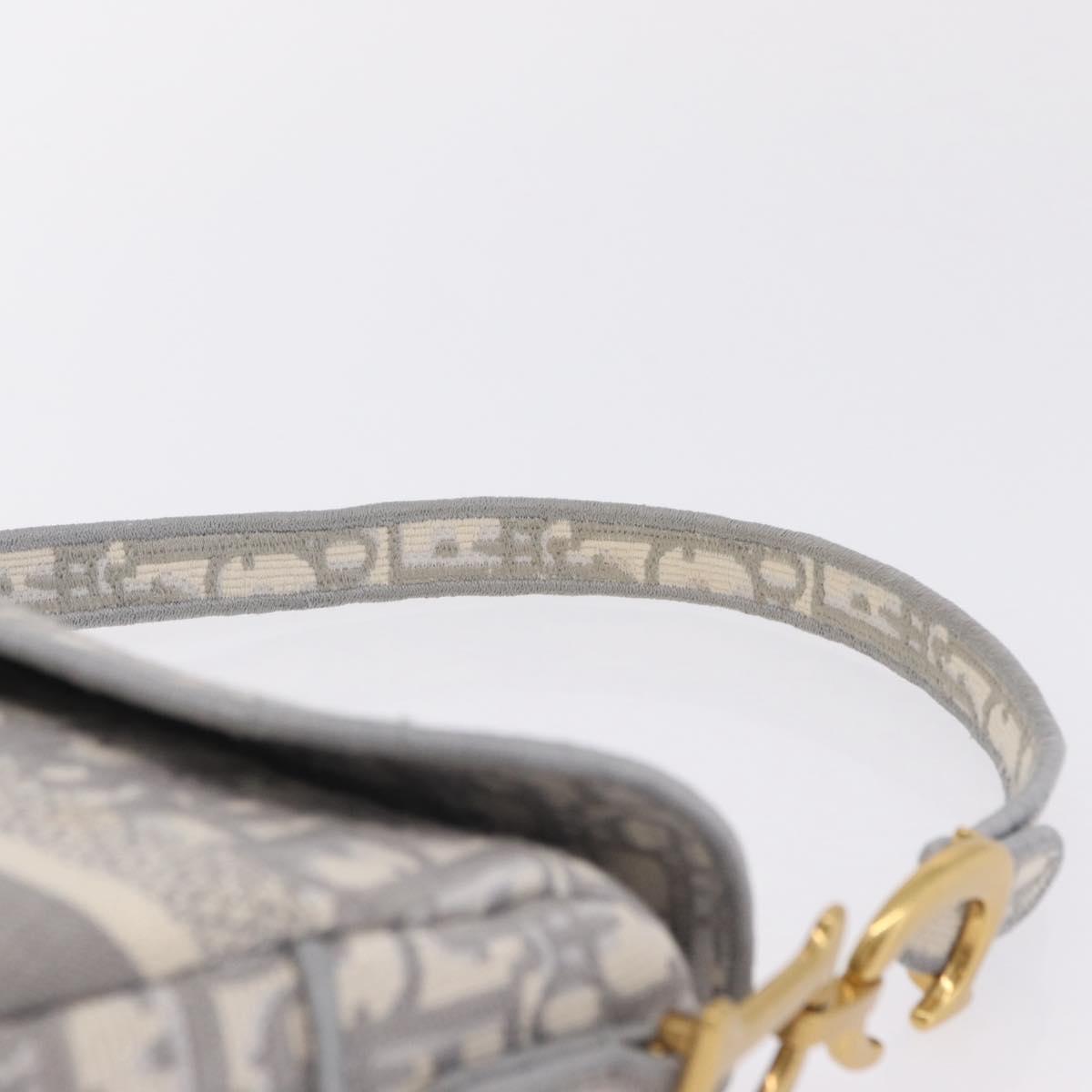 Christian Dior Oblique Saddle Shoulder Bag Canvas Gray Gold Tone Auth ep16633SAM