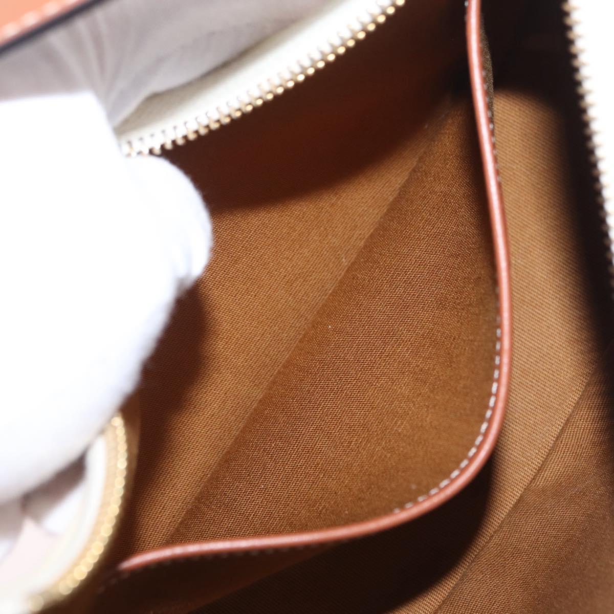 CELINE Triomphe Ava Shoulder Bag PVC Leather White Gold Tone Auth ep16681M