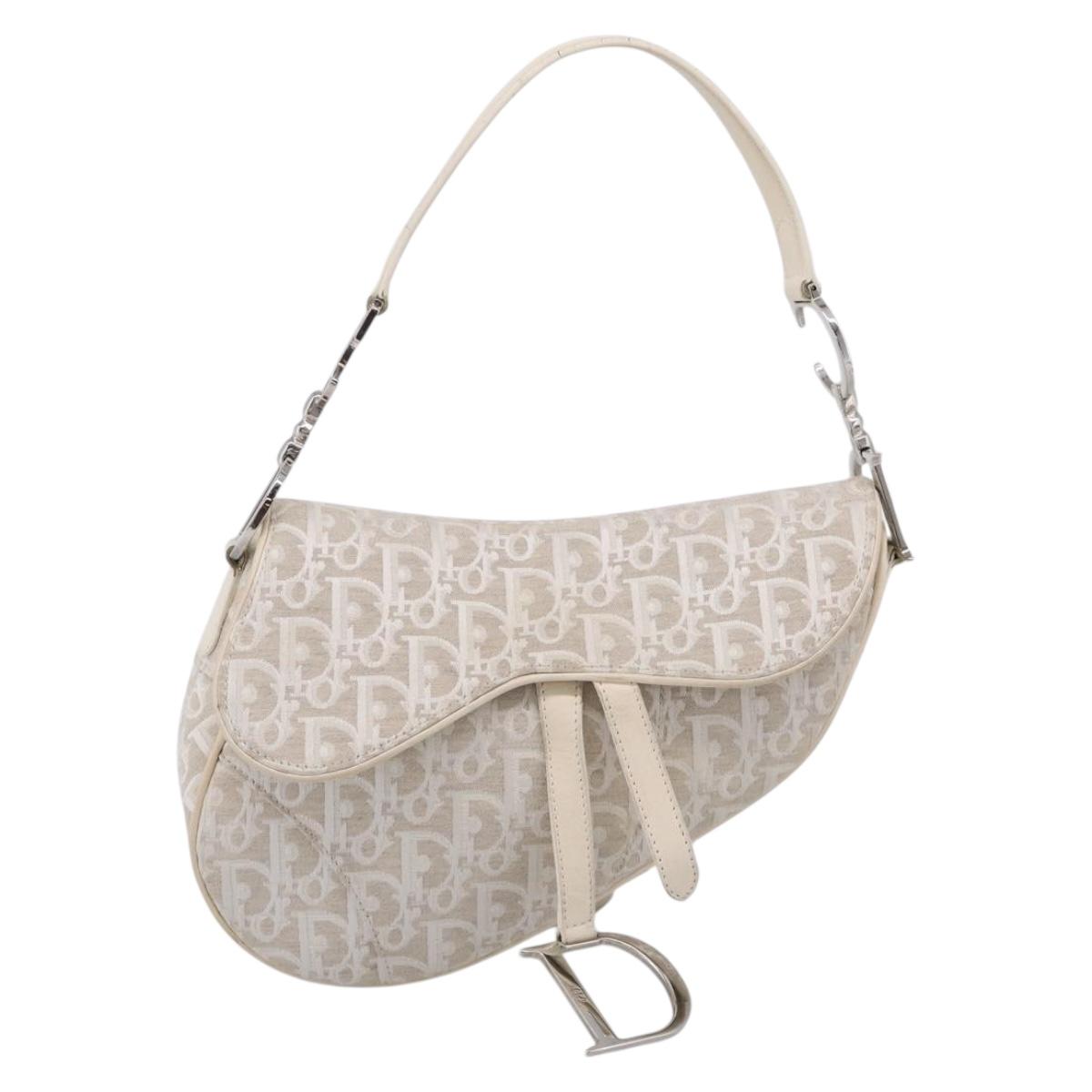 Christian Dior Trotter Canvas saddle Hand Bag Beige Silver Auth ep17108V