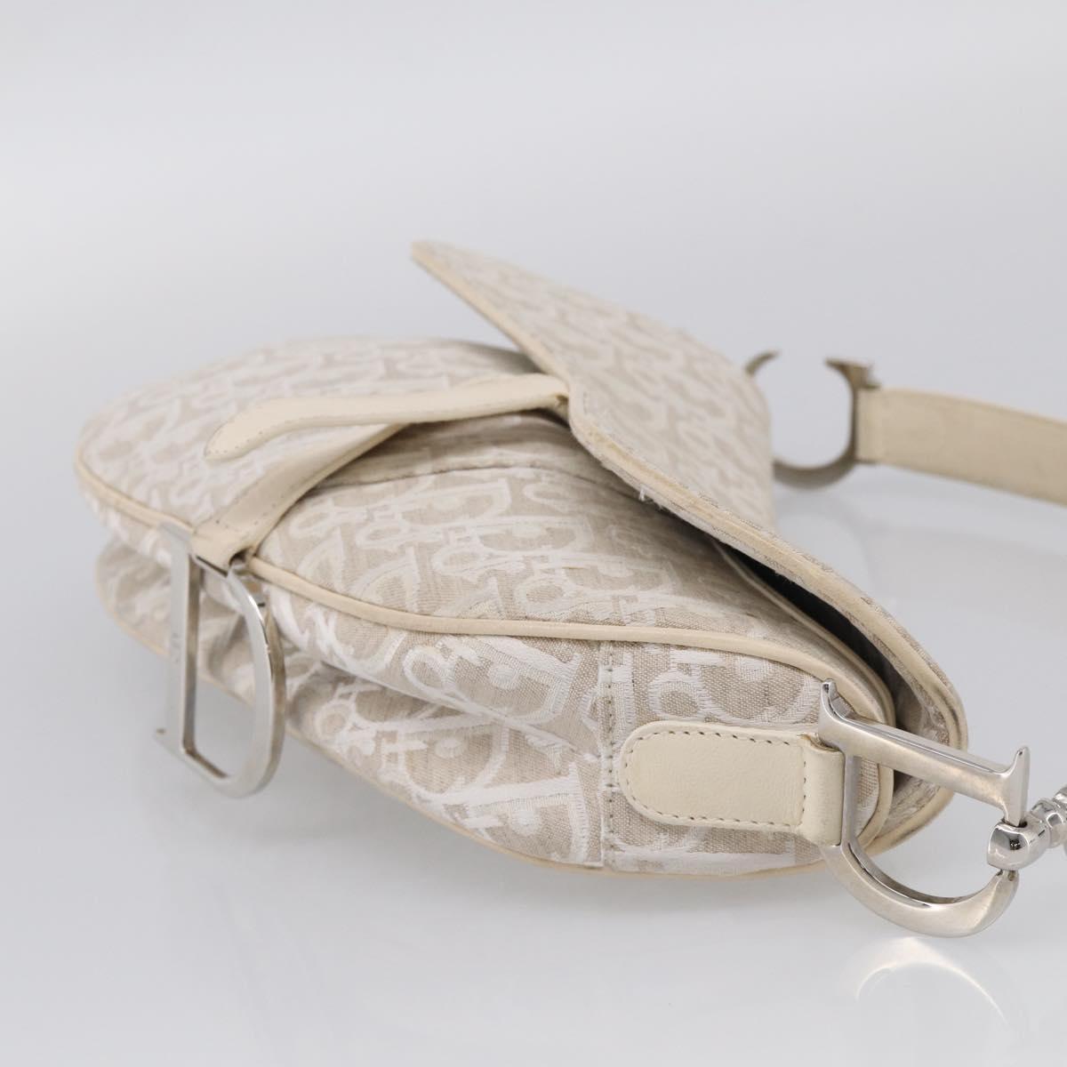 Christian Dior Trotter Canvas saddle Hand Bag Beige Silver Auth ep17108V