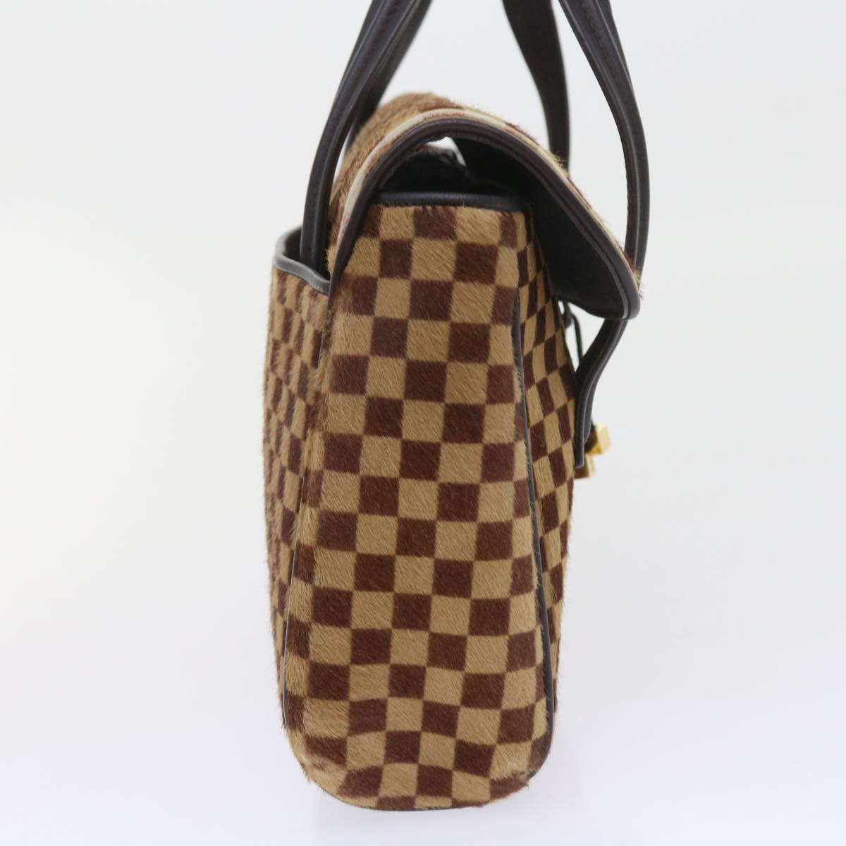 LOUIS VUITTON Damier Sauvage Lion Bag Harako leather Brown M92131 LV Auth ep2197