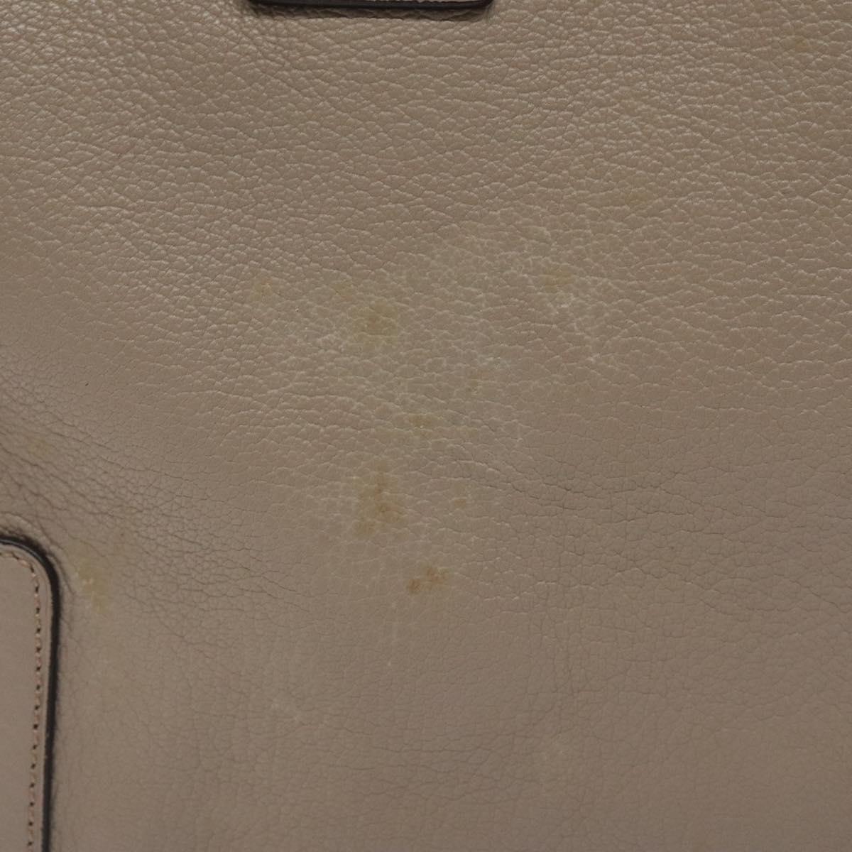 LOEWE Anagram Amazona 36 Hand Bag Leather Beige Silver Auth ep8171