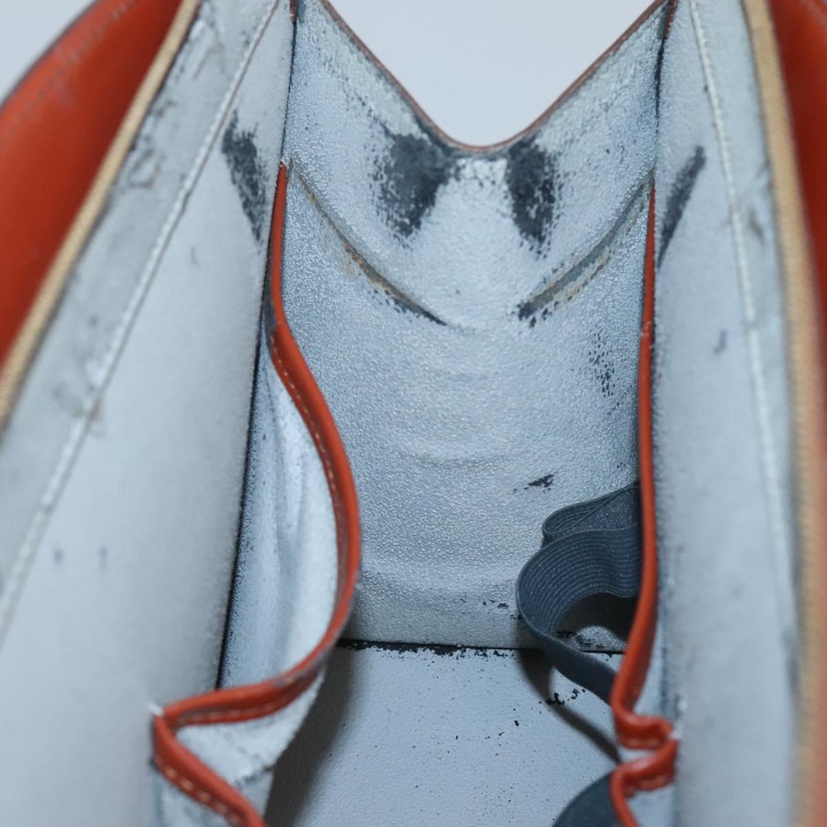 LOUIS VUITTON Epi Riviera Hand Bag Brown M48183 LV Auth ep8602