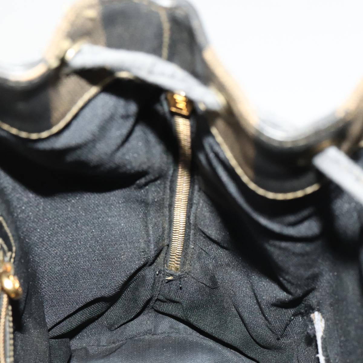 FENDI Pecan Canvas Backpack Brown Black gold Auth ep8678