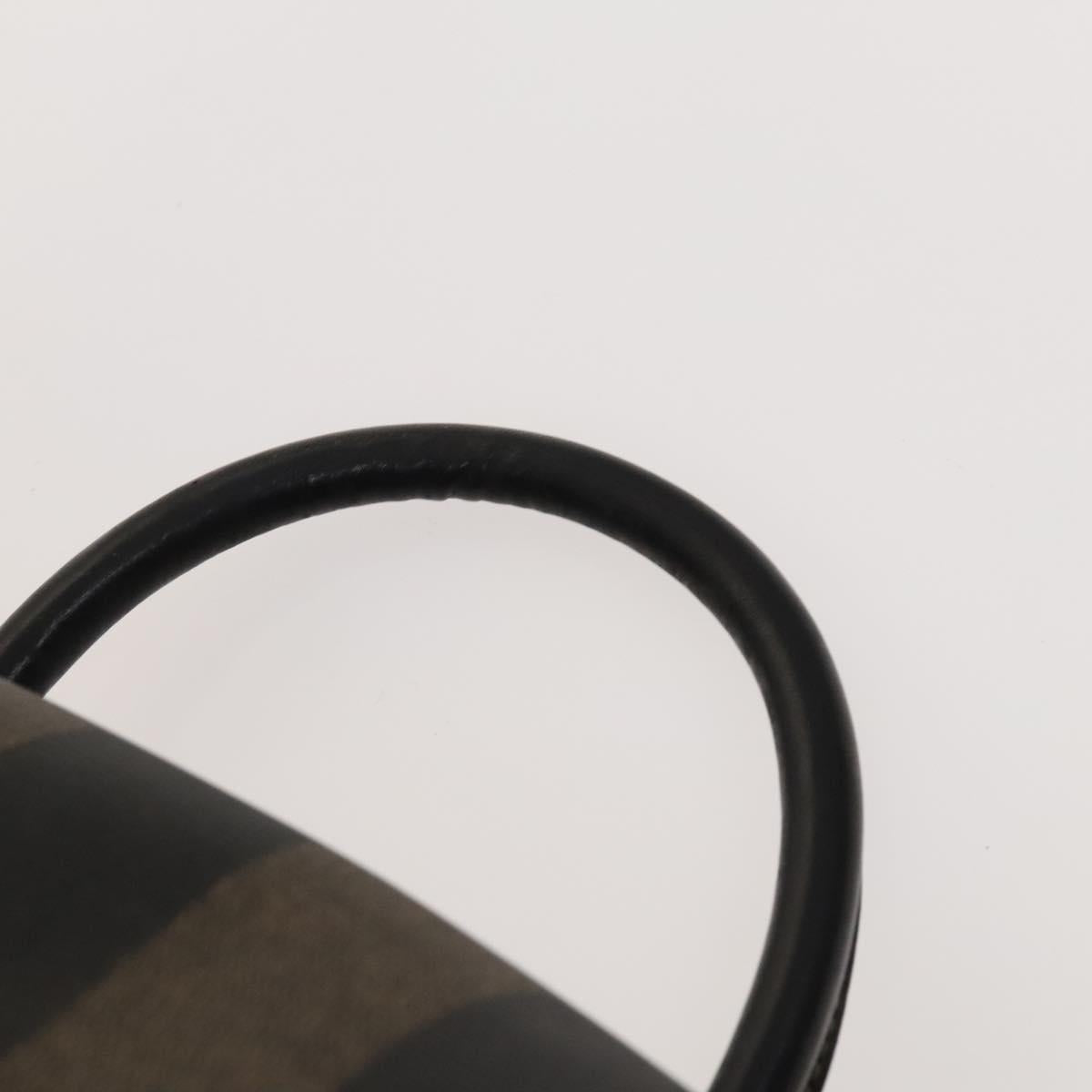 FENDI Pecan Canvas Backpack Brown Black gold Auth ep8678