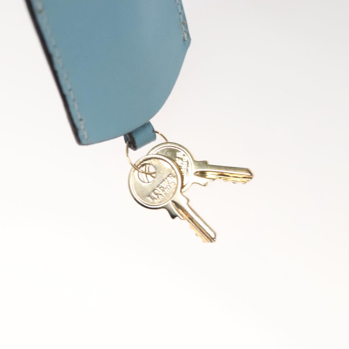 LOEWE Anagram Amazona 28 Hand Bag Leather Light Blue Gold Auth fm4572