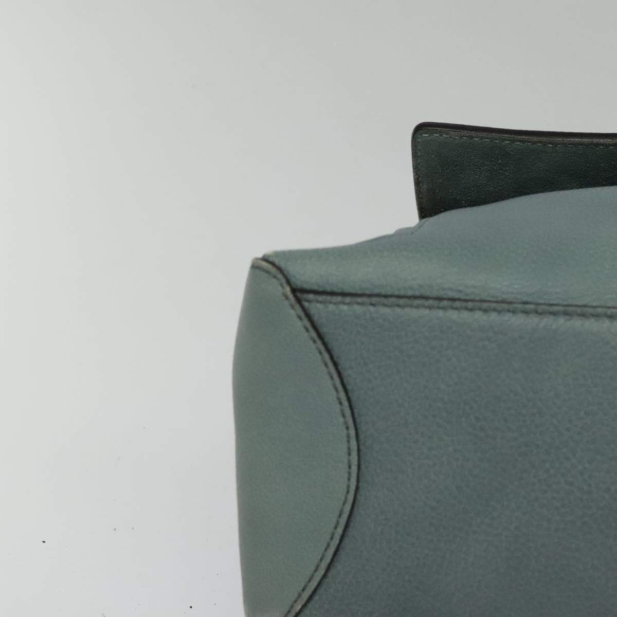 Chloe Fayday Hand Bag Leather 2way Green Gold Auth fm4705