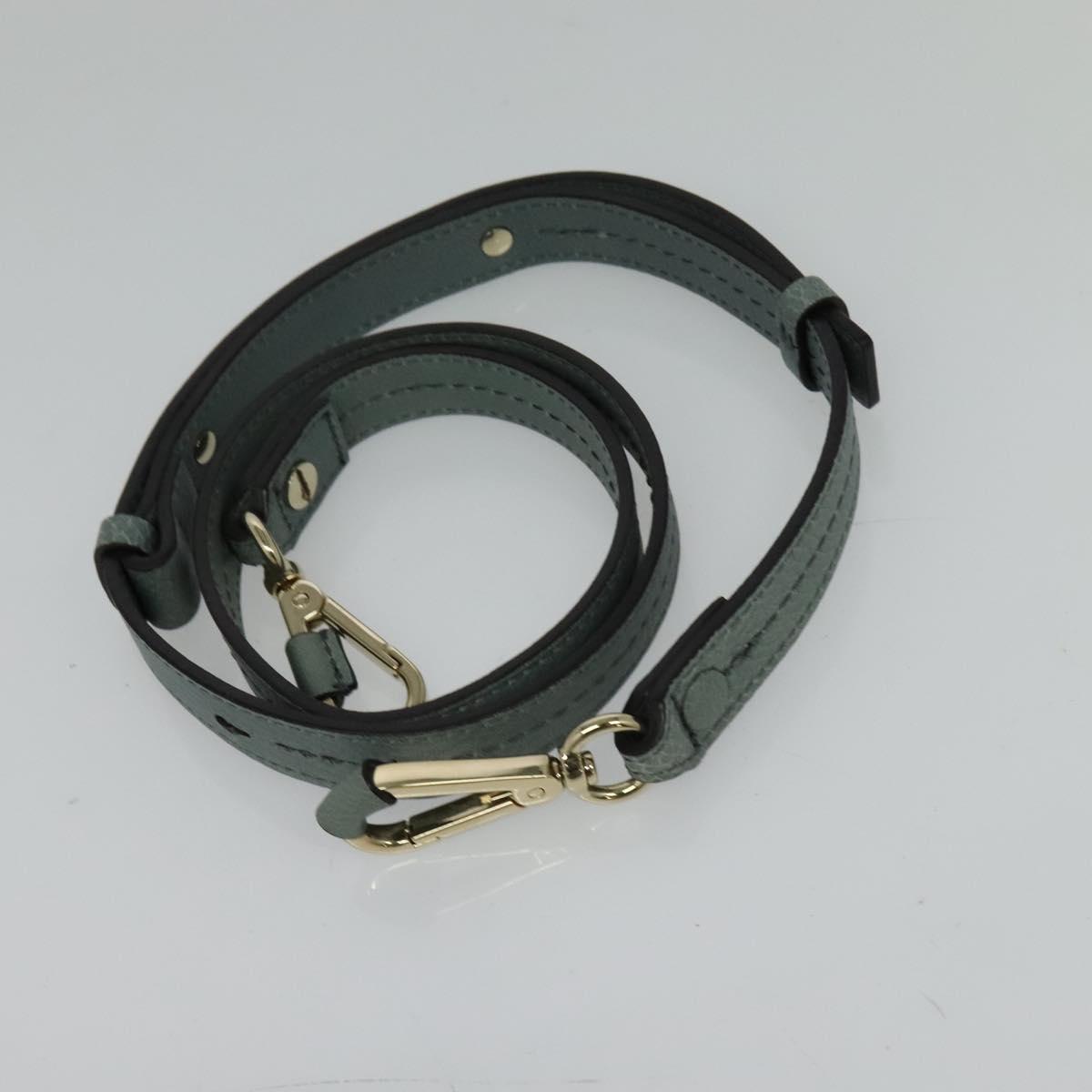 Chloe Fayday Hand Bag Leather 2way Green Gold Auth fm4705