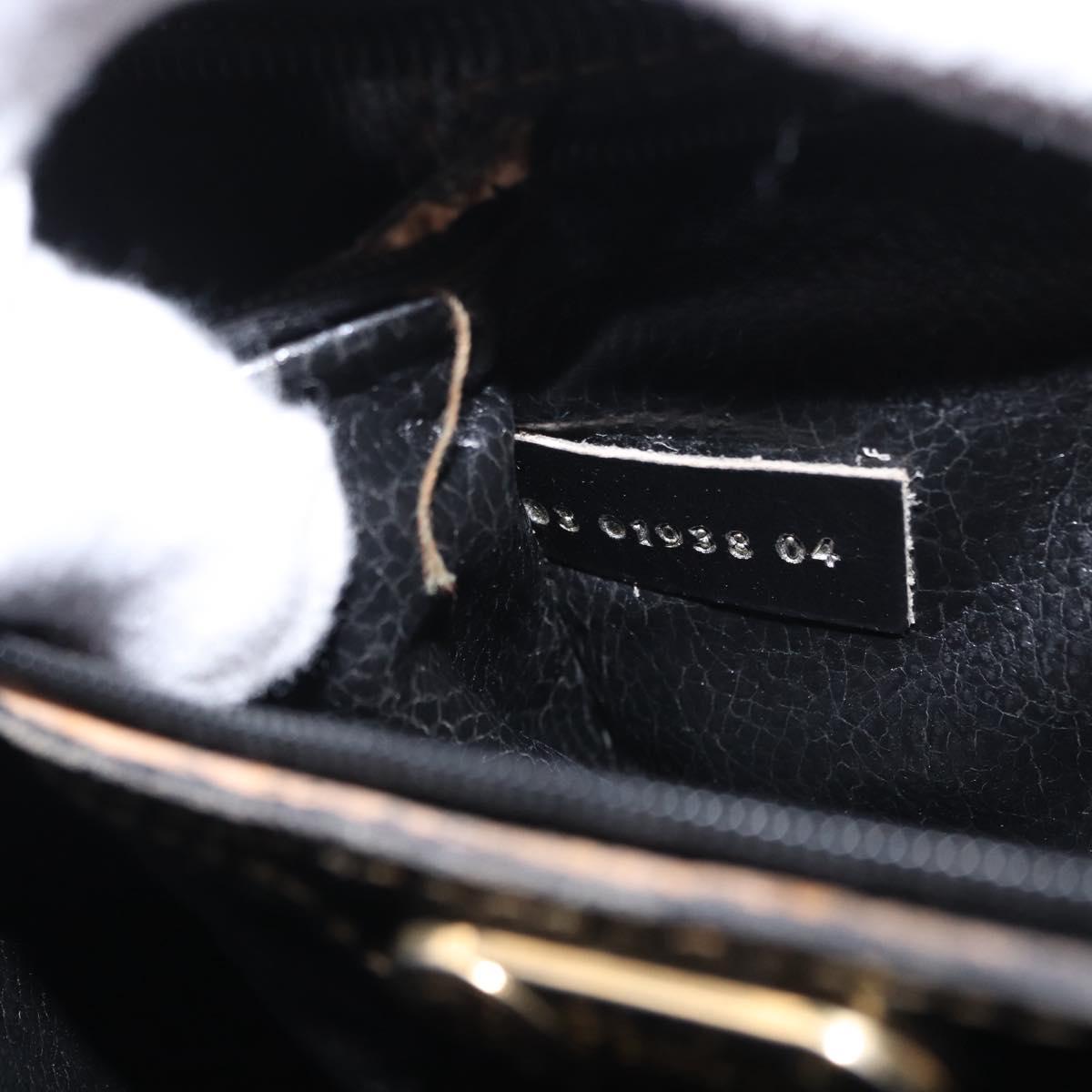FENDI Pecan Canvas Shoulder Bag PVC Black Brown gold Auth fm5072