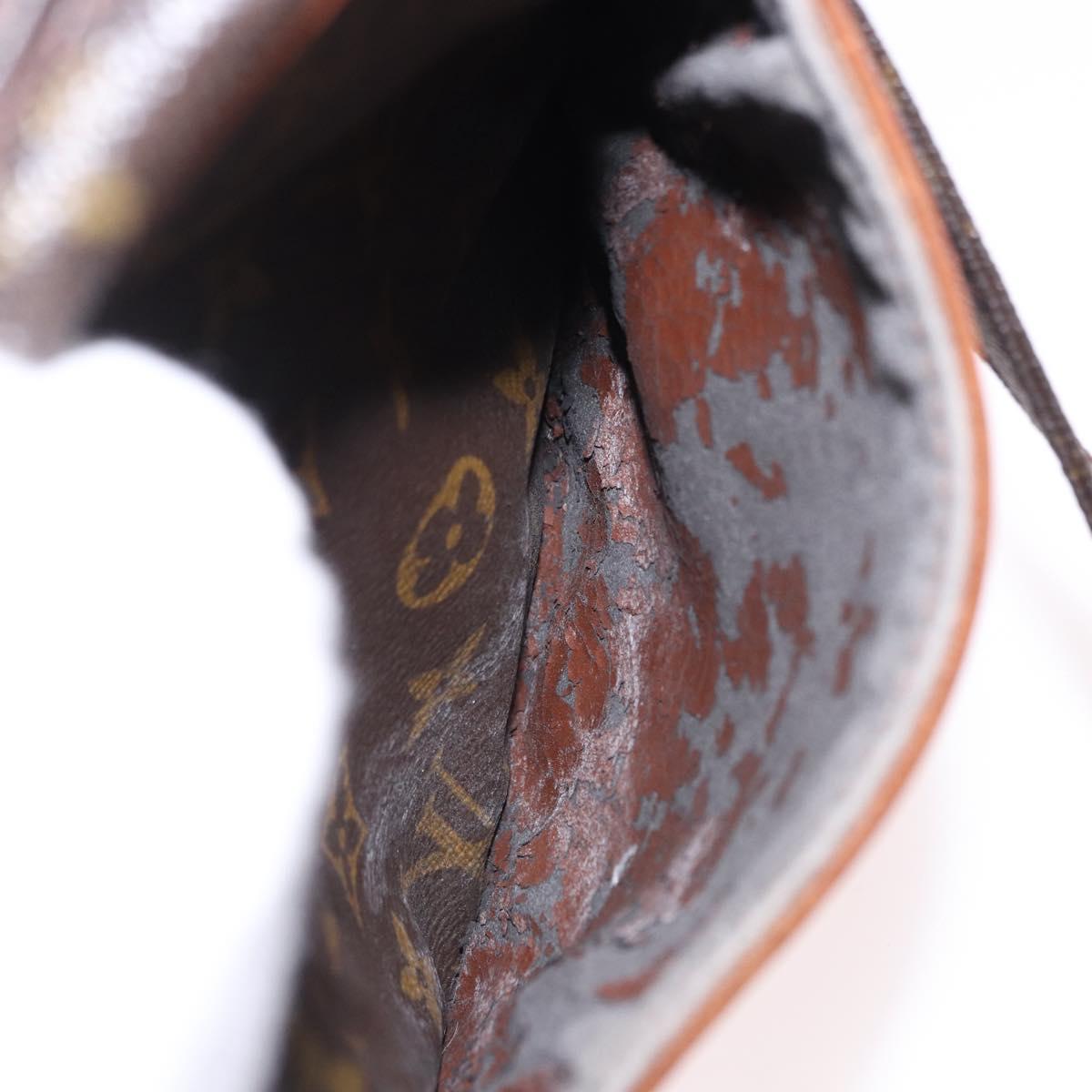 LOUIS VUITTON Monogram Danube Shoulder Bag M45266 LV Auth fm5395