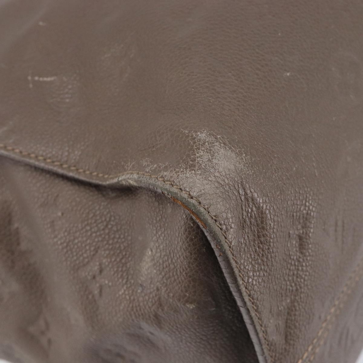 LOUIS VUITTON LumineusePM Hand Bag 2way Bag Brown Ombre M93409 LV Auth fm5452