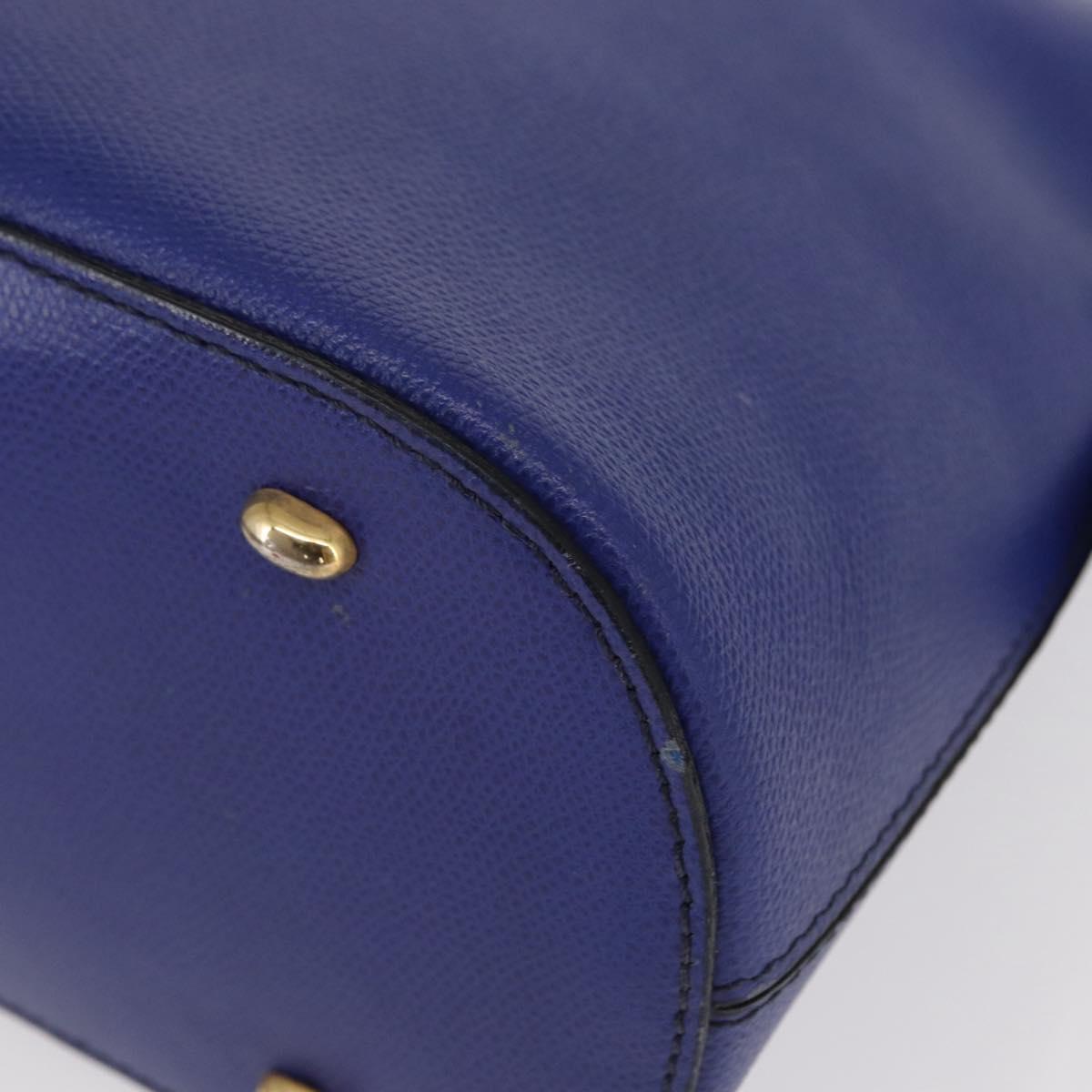 CELINE Hand Bag Leather Blue Gold Auth gh1466