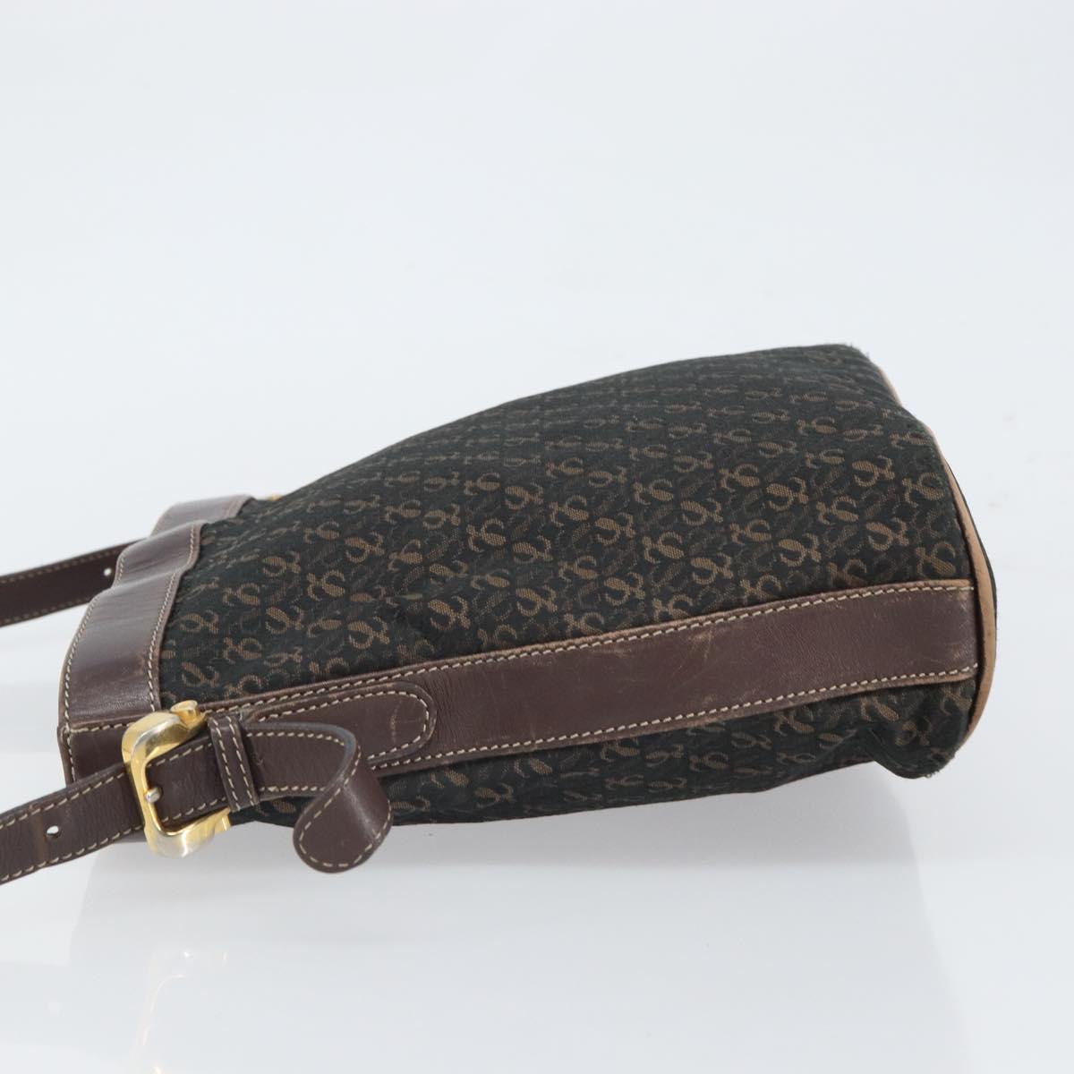 LOEWE Shoulder Bag Canvas Brown Gold Auth gh1652