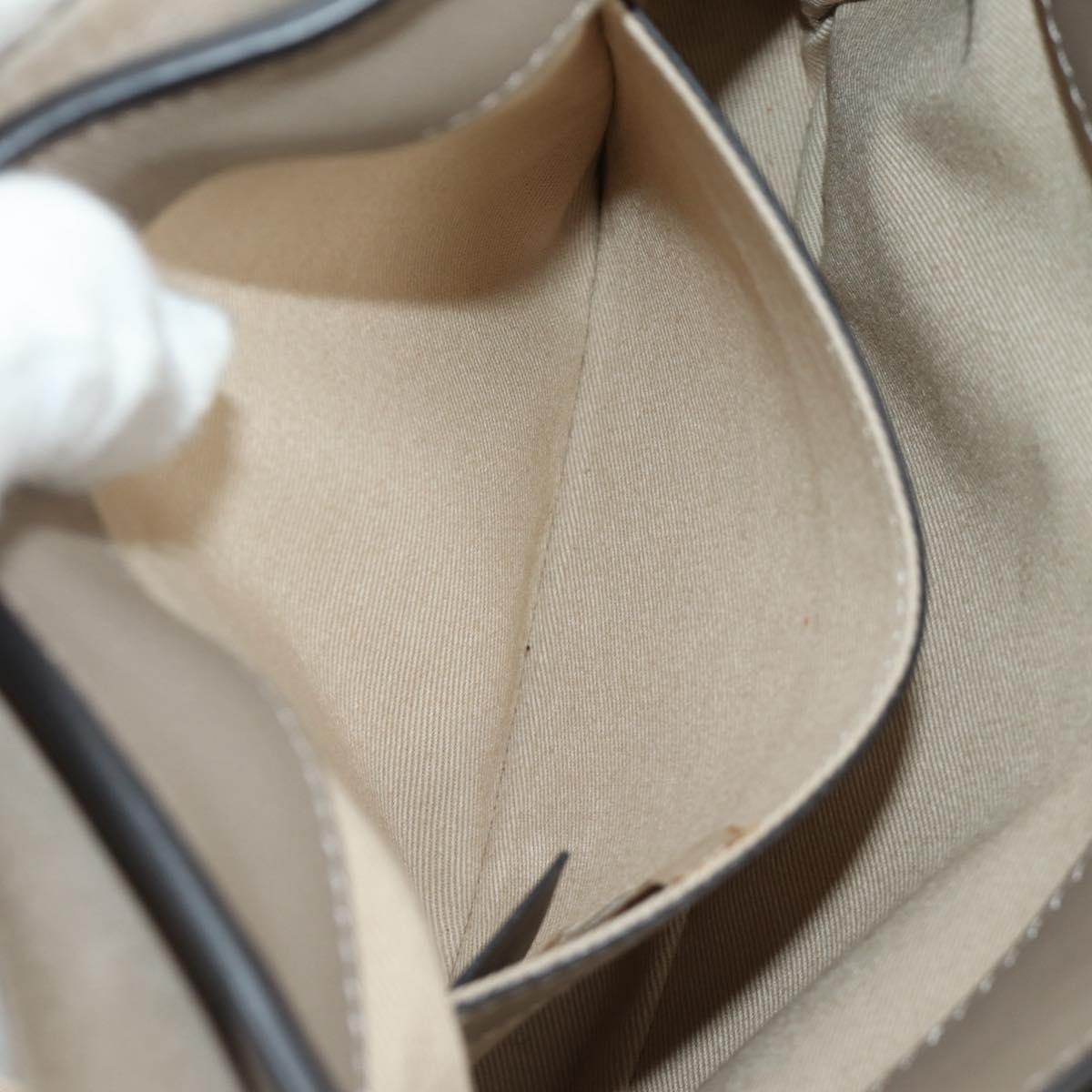 Chloe Faye Day Small Hand Bag Leather 2way Beige Gold Silver Auth gh2163V