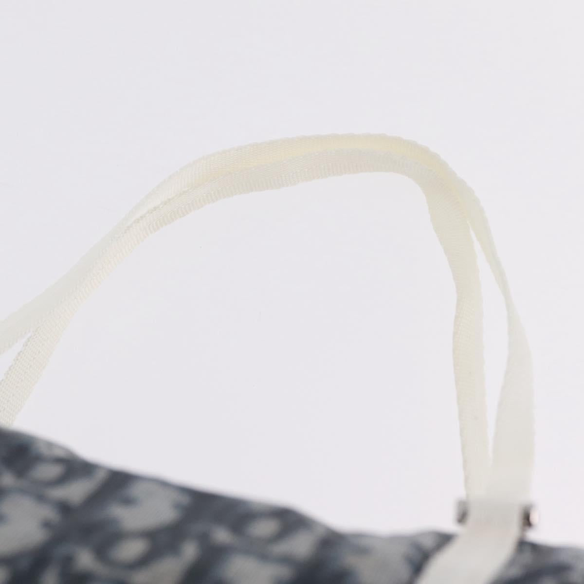 Christian Dior Trotter Canvas Hand Bag Nylon Navy Silver Auth gh2416