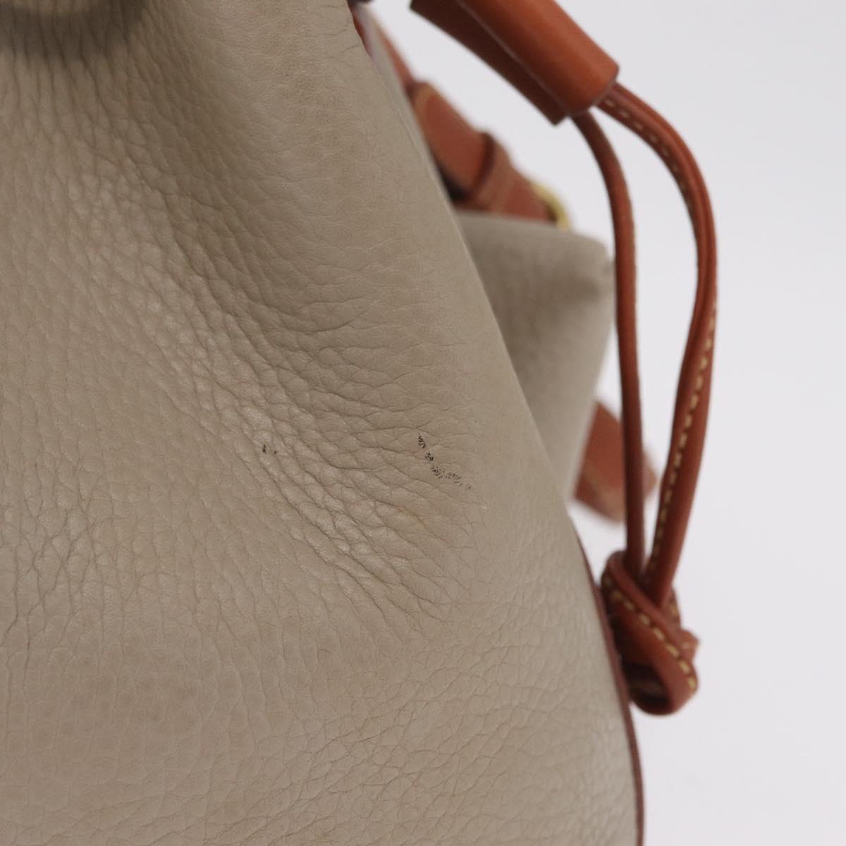 Coach Shoulder Bag Leather Beige Gold Auth gh2421