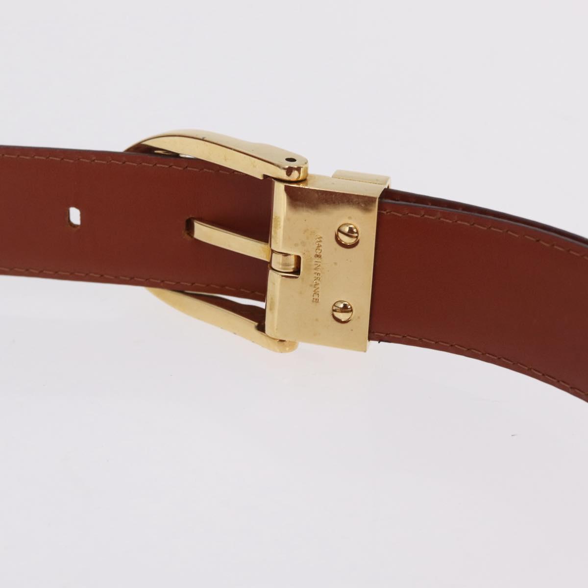 LOUIS VUITTON Epi Tilsitt Waist bag Brown M52603 LV Auth gh2427A