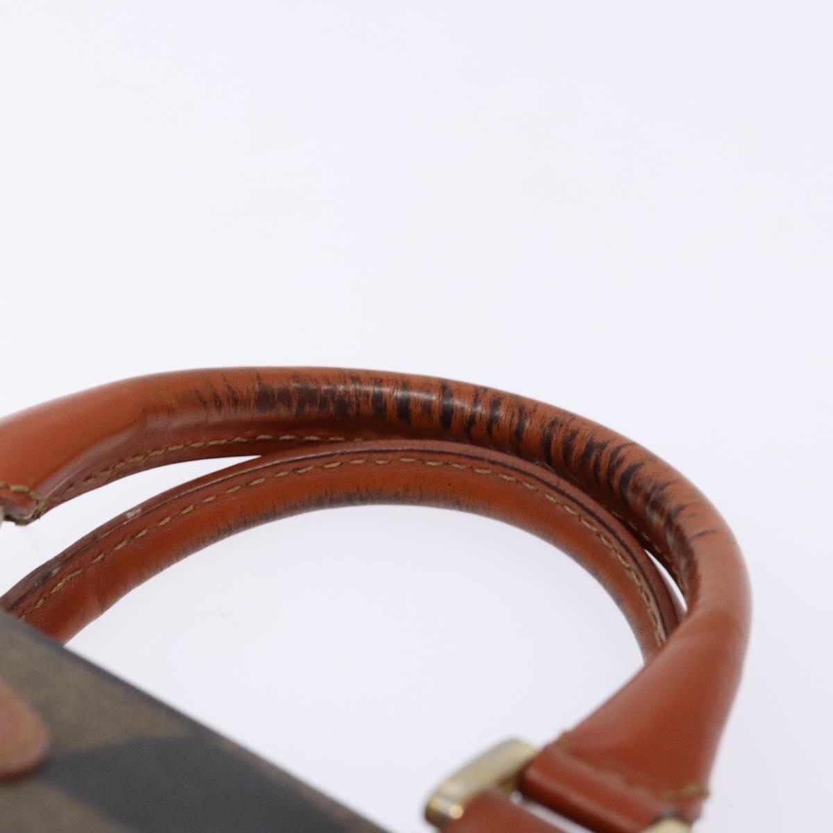 FENDI Pecan Canvas Hand Bag Black Brown Auth gh591