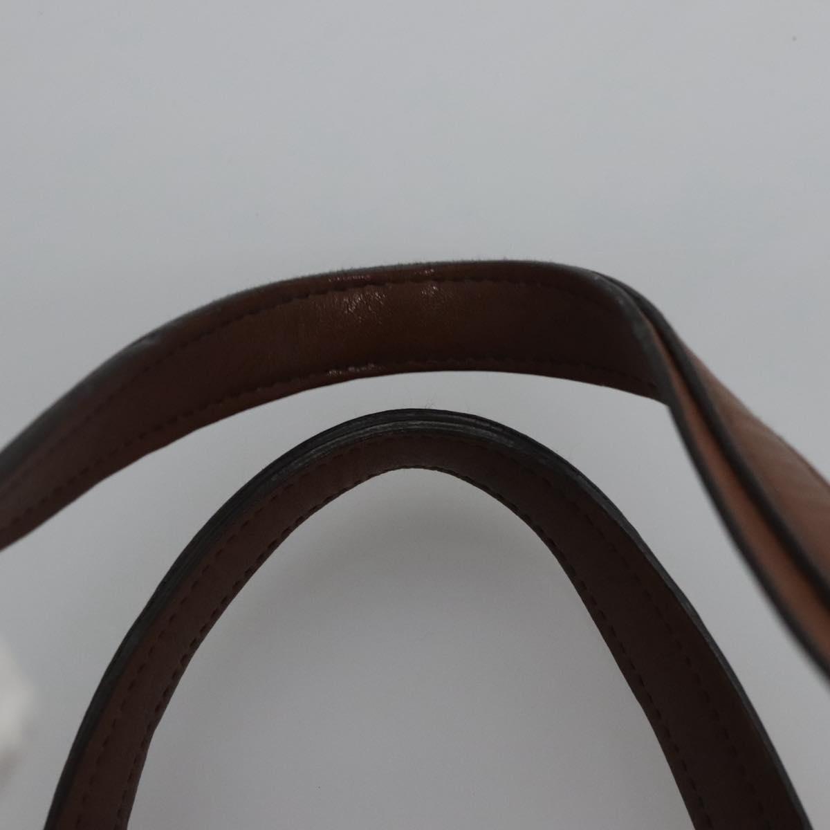 Salvatore Ferragamo Hand Bag Leather Brown Auth hk2207