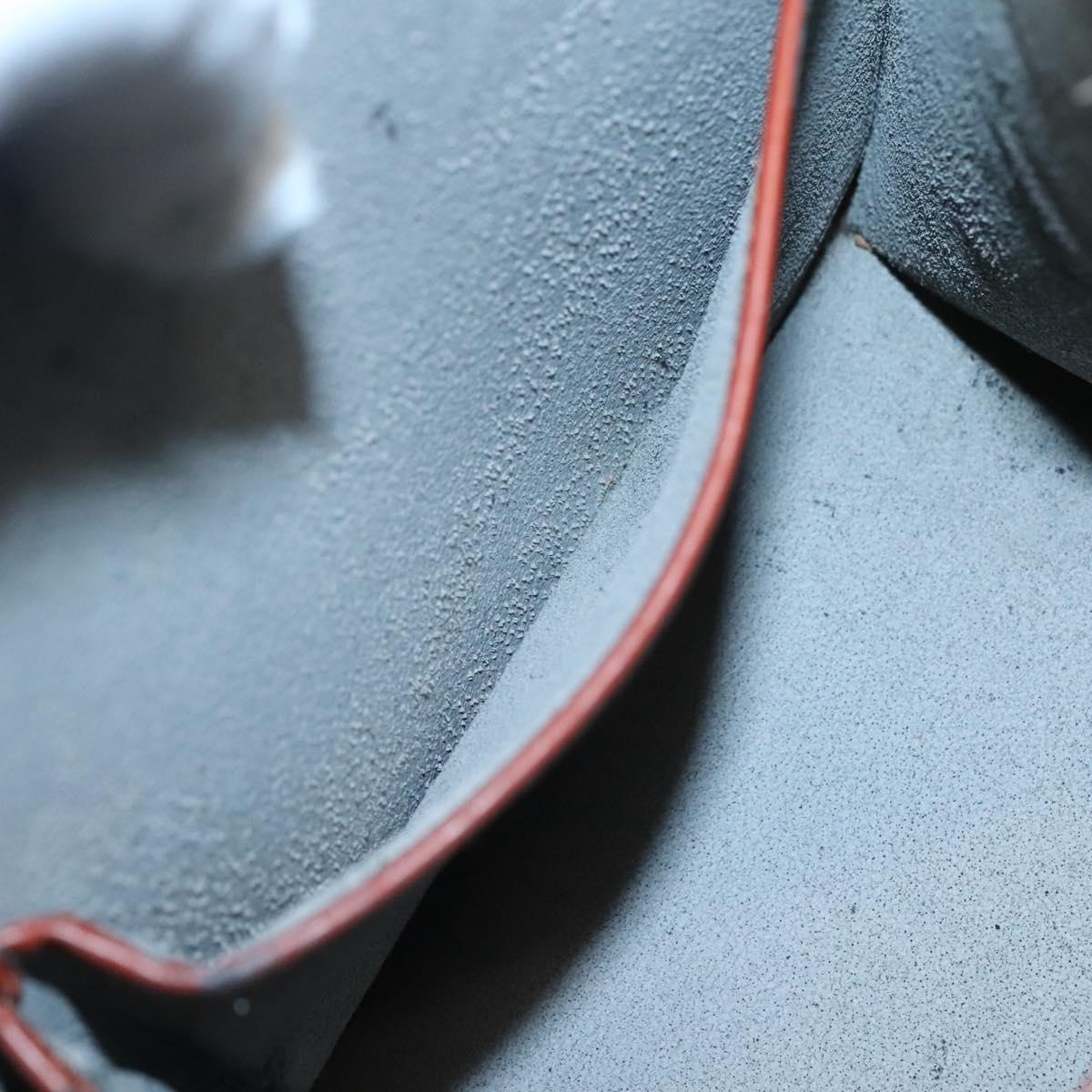 LOUIS VUITTON Epi Riviera Hand Bag Brown M48183 LV Auth hk2549