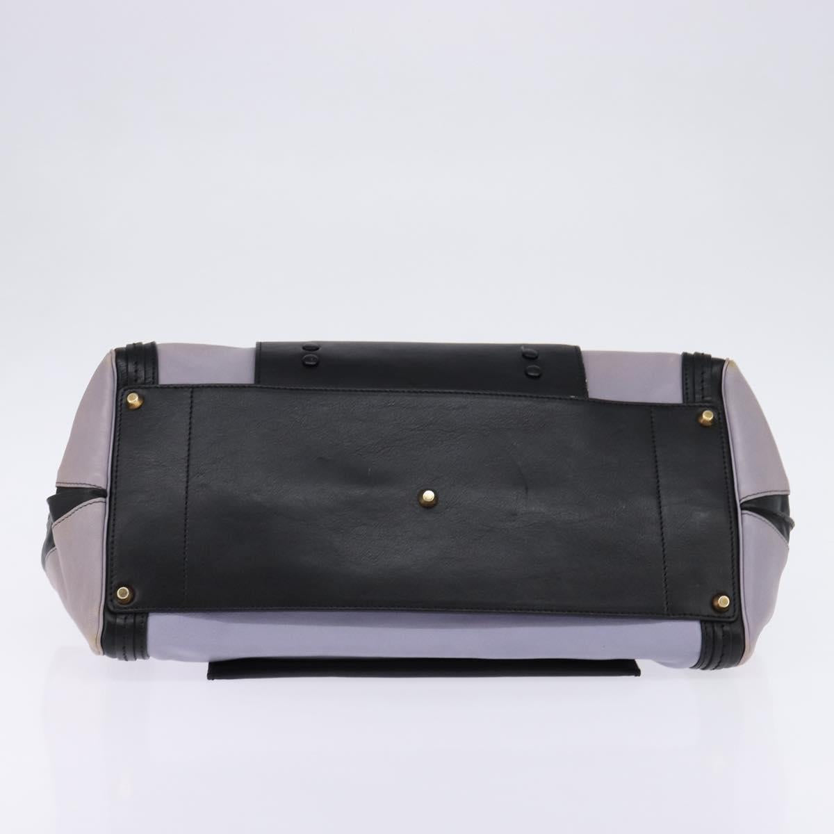 Chloe Alice Hand Bag Leather Purple Gold Auth hk3001