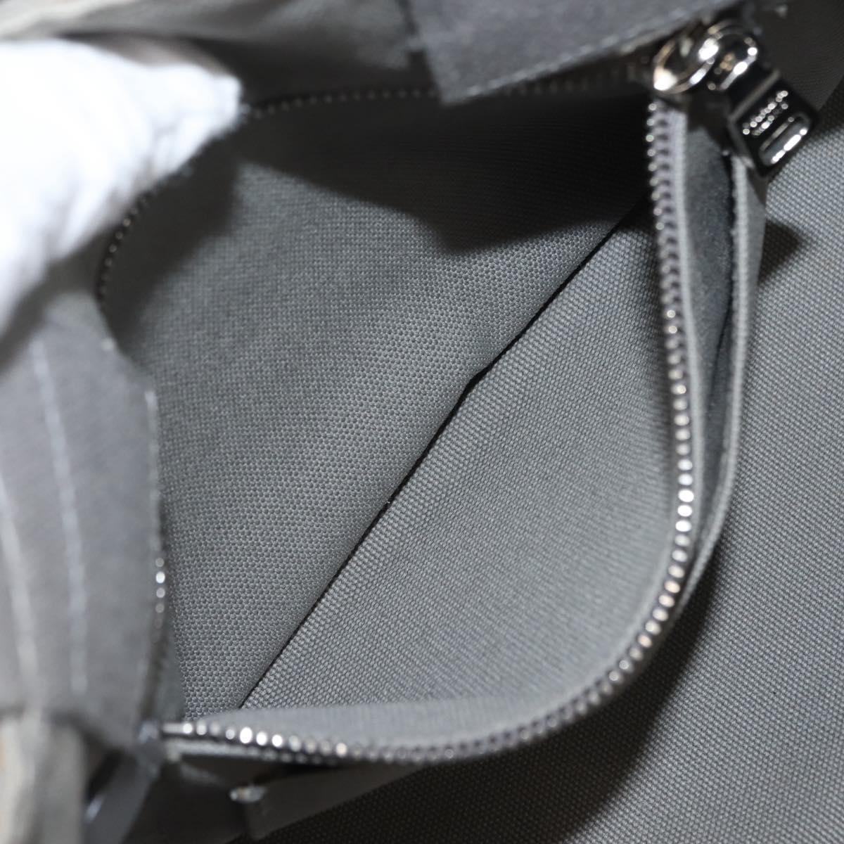 PRADA Canapa MM Hand Bag Canvas Gray Silver Auth hk3116