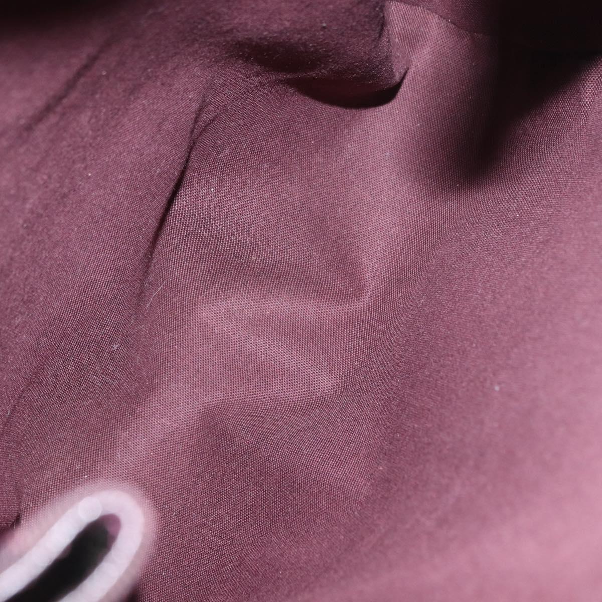 LOUIS VUITTON Taiga Cashier Backpack Acajou M30176 LV Auth hk3196