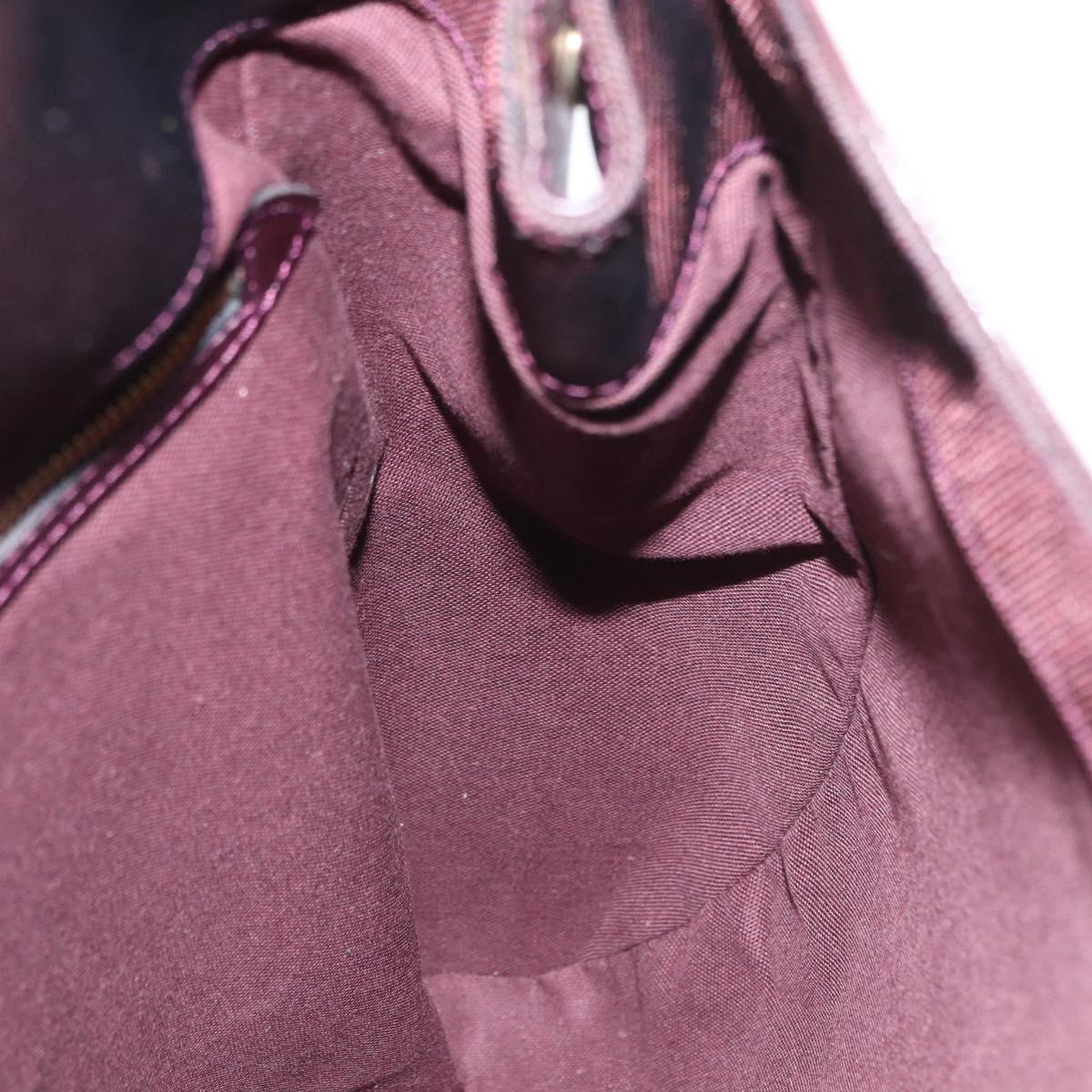 LOUIS VUITTON Taiga Cashier Backpack Acajou M30176 LV Auth hk3196