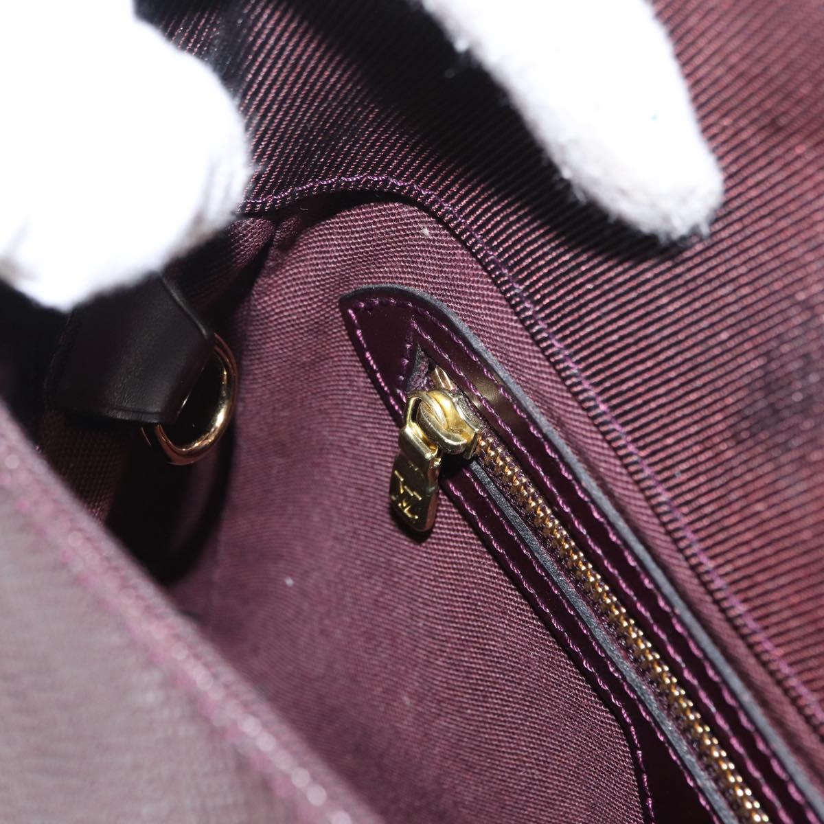 LOUIS VUITTON Taiga Cashier Backpack Acajou M30176 LV Auth hk3196