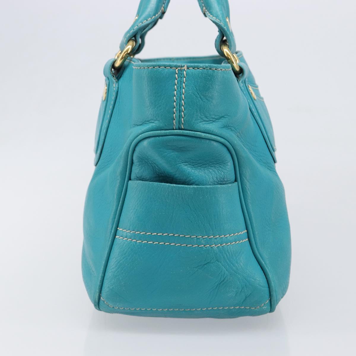 CELINE Boogie Bag Leather Light Blue Gold Auth hk4041