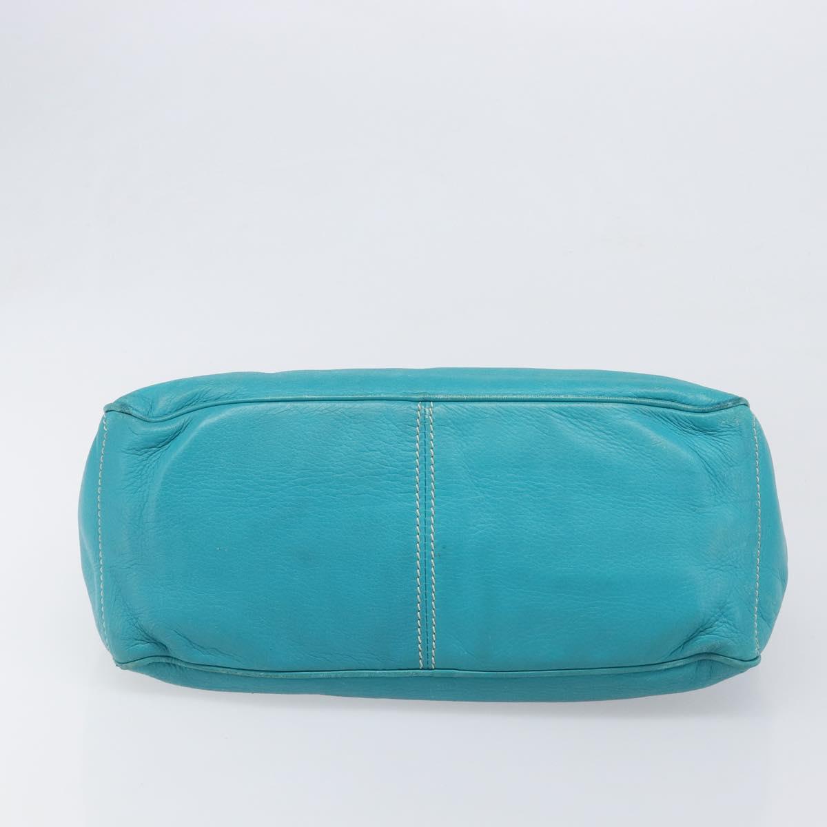 CELINE Boogie Bag Leather Light Blue Gold Auth hk4041