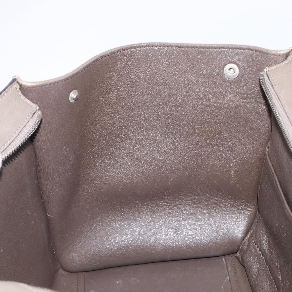 CELINE Trapeze Hand Bag Suede Leather 2way Beige Silver Auth hk4044