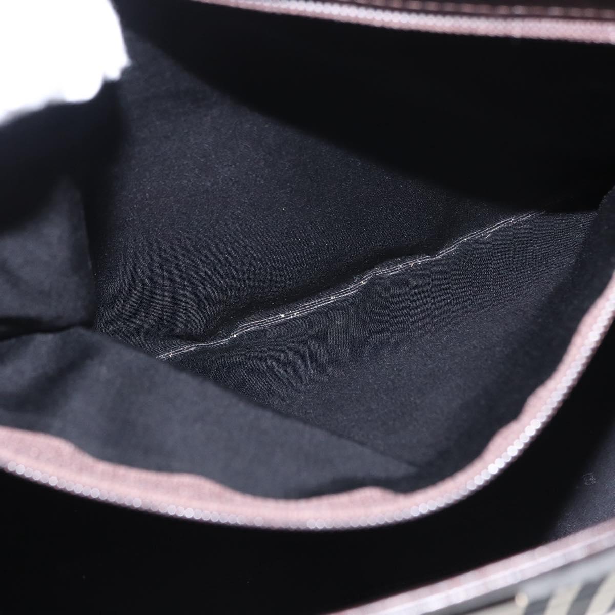 BURBERRY Nova Check Hand Bag Canvas Beige Silver Auth ka042