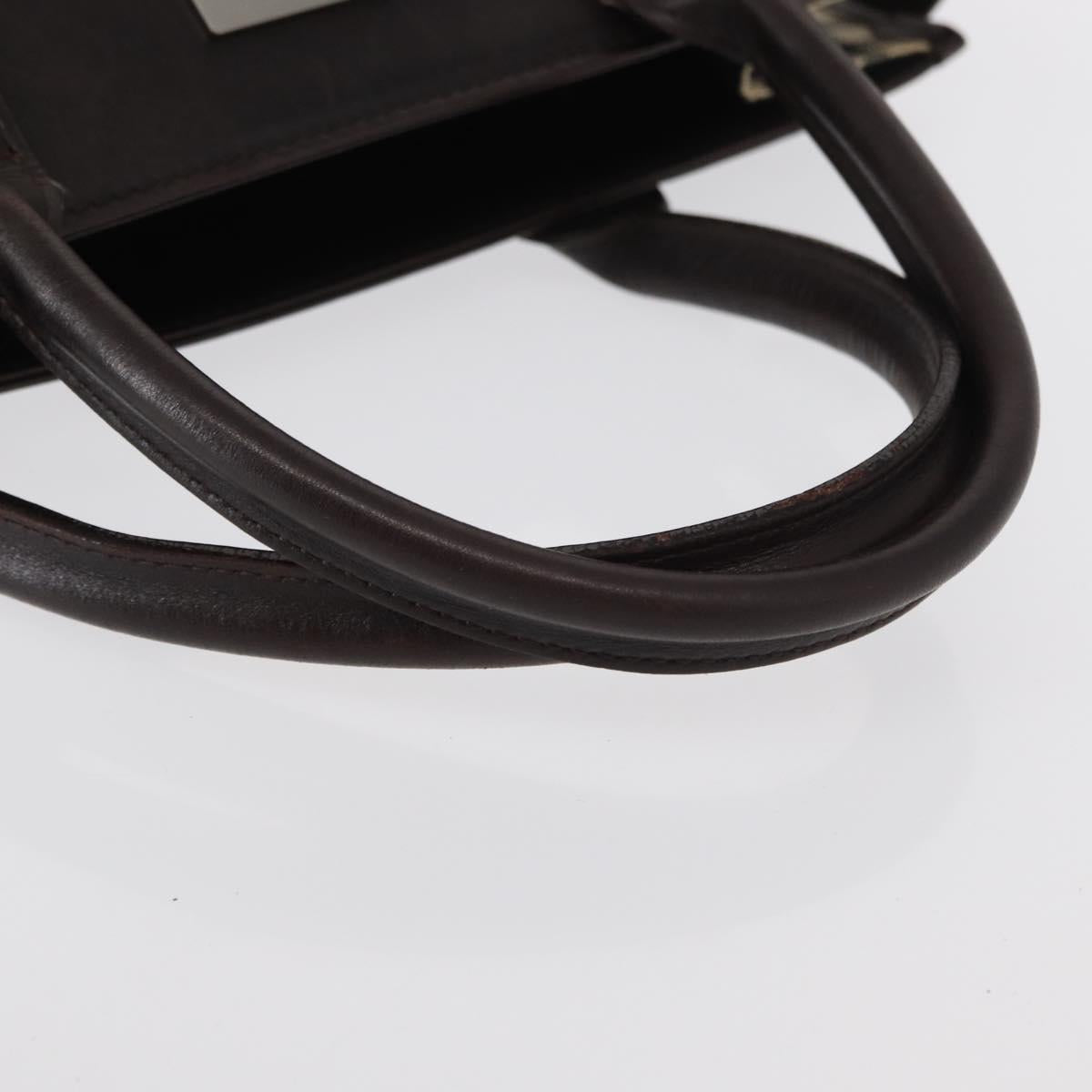 BURBERRY Nova Check Hand Bag Canvas Beige Silver Auth ka042