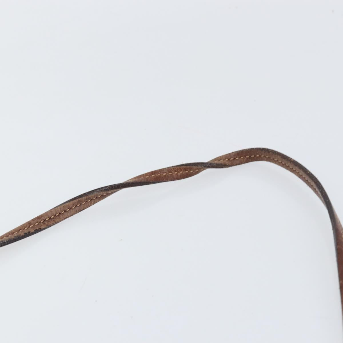 PRADA Shoulder Bag Canvas Dark Brown gold Auth ka080