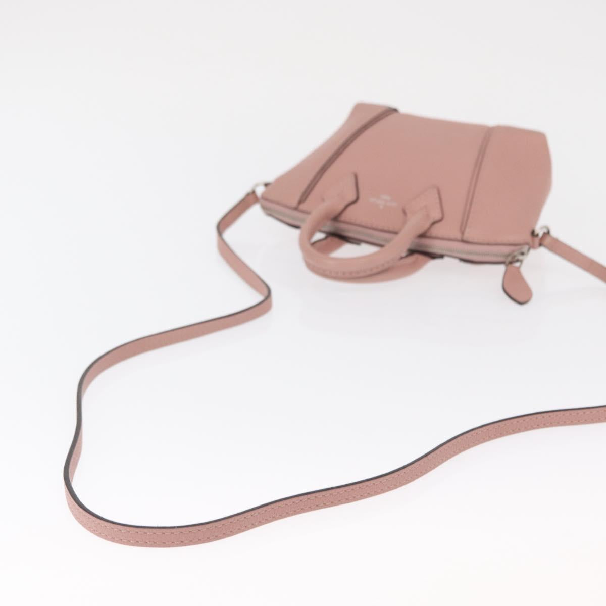 LOUIS VUITTON Parnasea Nano Lockit Hand Bag Leather Pink M61256 LV Auth ka1550