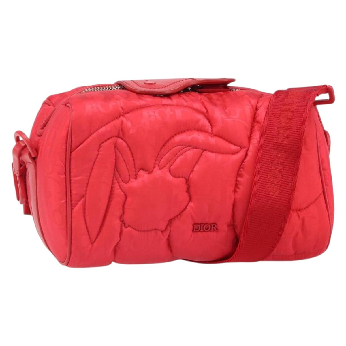 Christian Dior Trotter Canvas Oblique Dior x ERL Mirage Bag Nylon Auth ka1608SAM