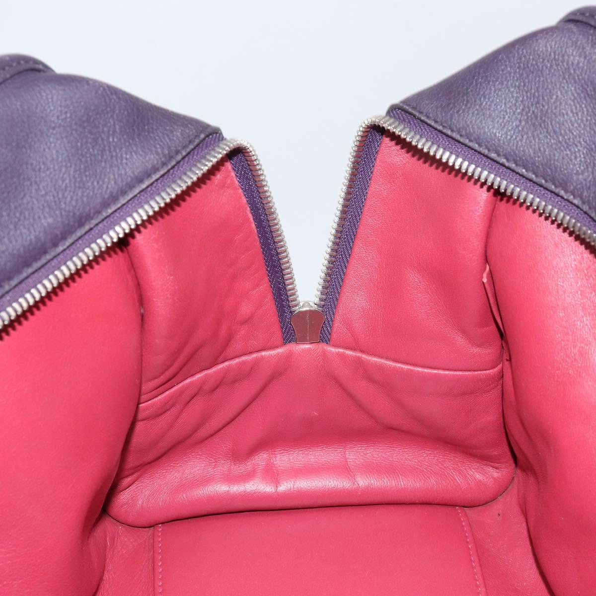 LOEWE anagram Amazona 28 Hand Bag Leather Silver Pink Auth ka1898V