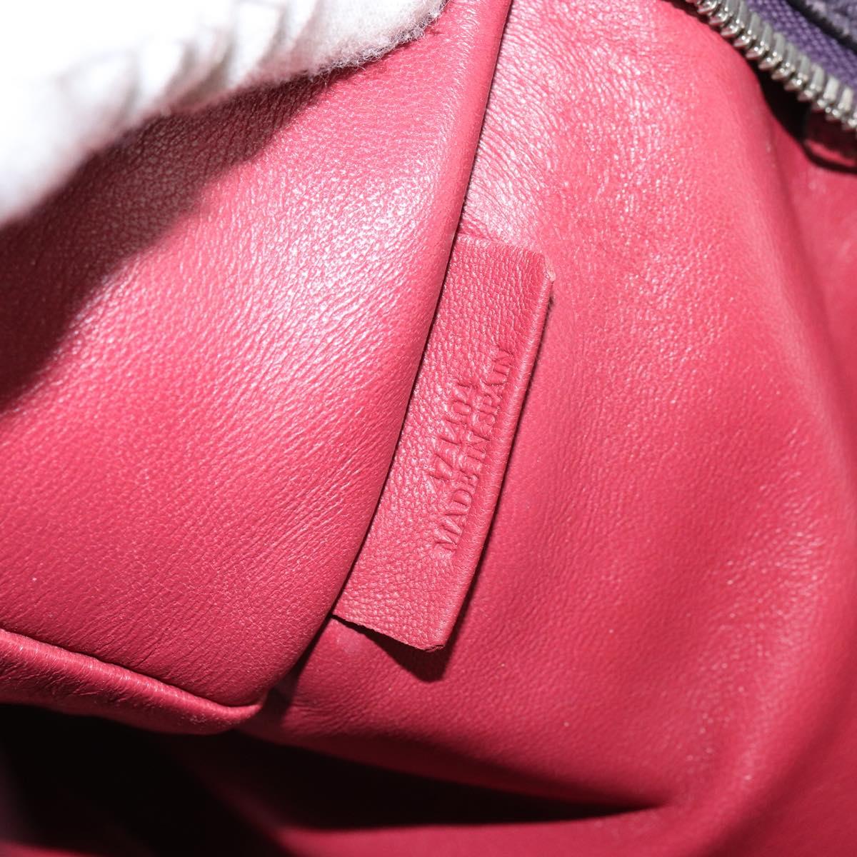 LOEWE anagram Amazona 28 Hand Bag Leather Silver Pink Auth ka1898V