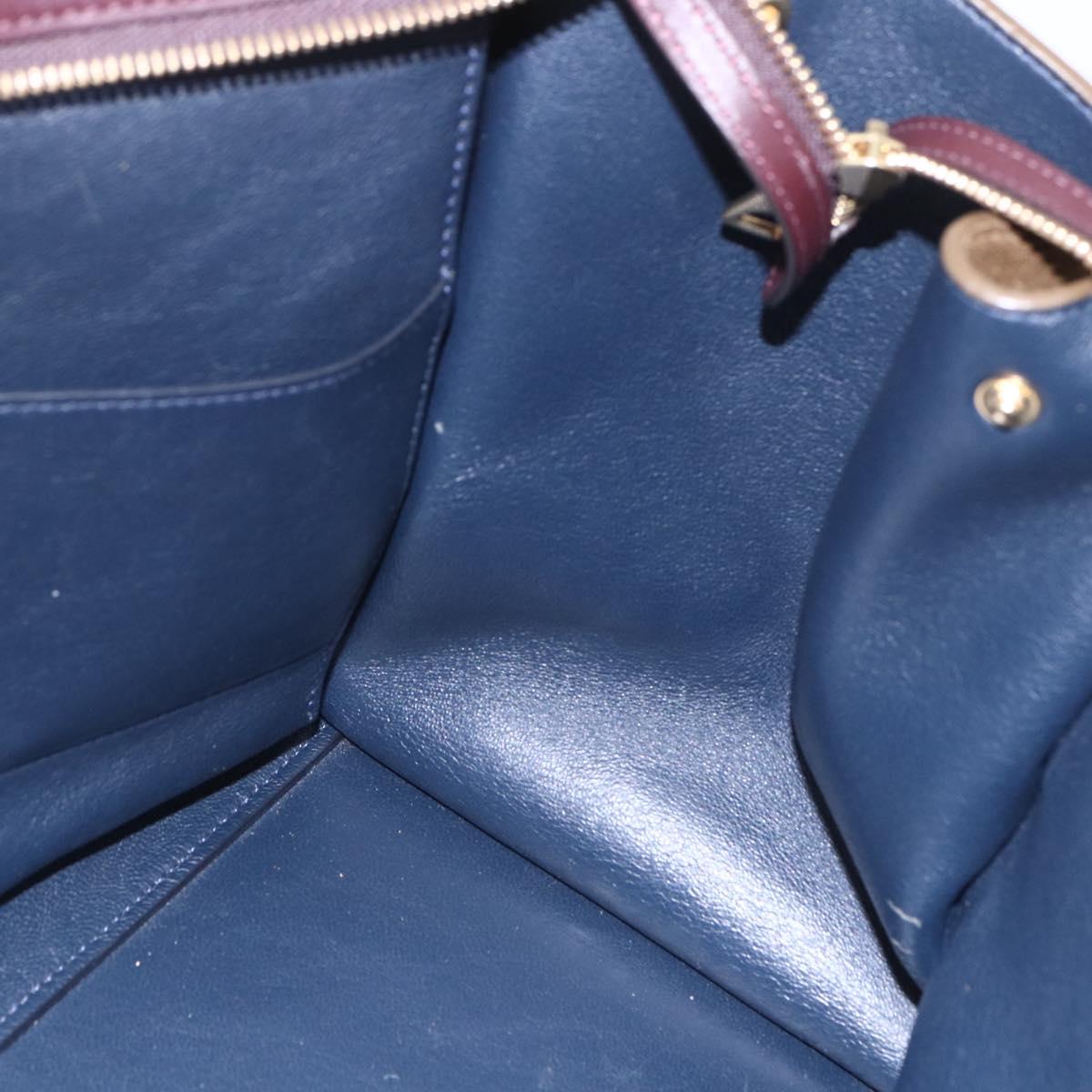 CELINE Trapeze Hand Bag Leather 2way Brown Black gold Auth ka337