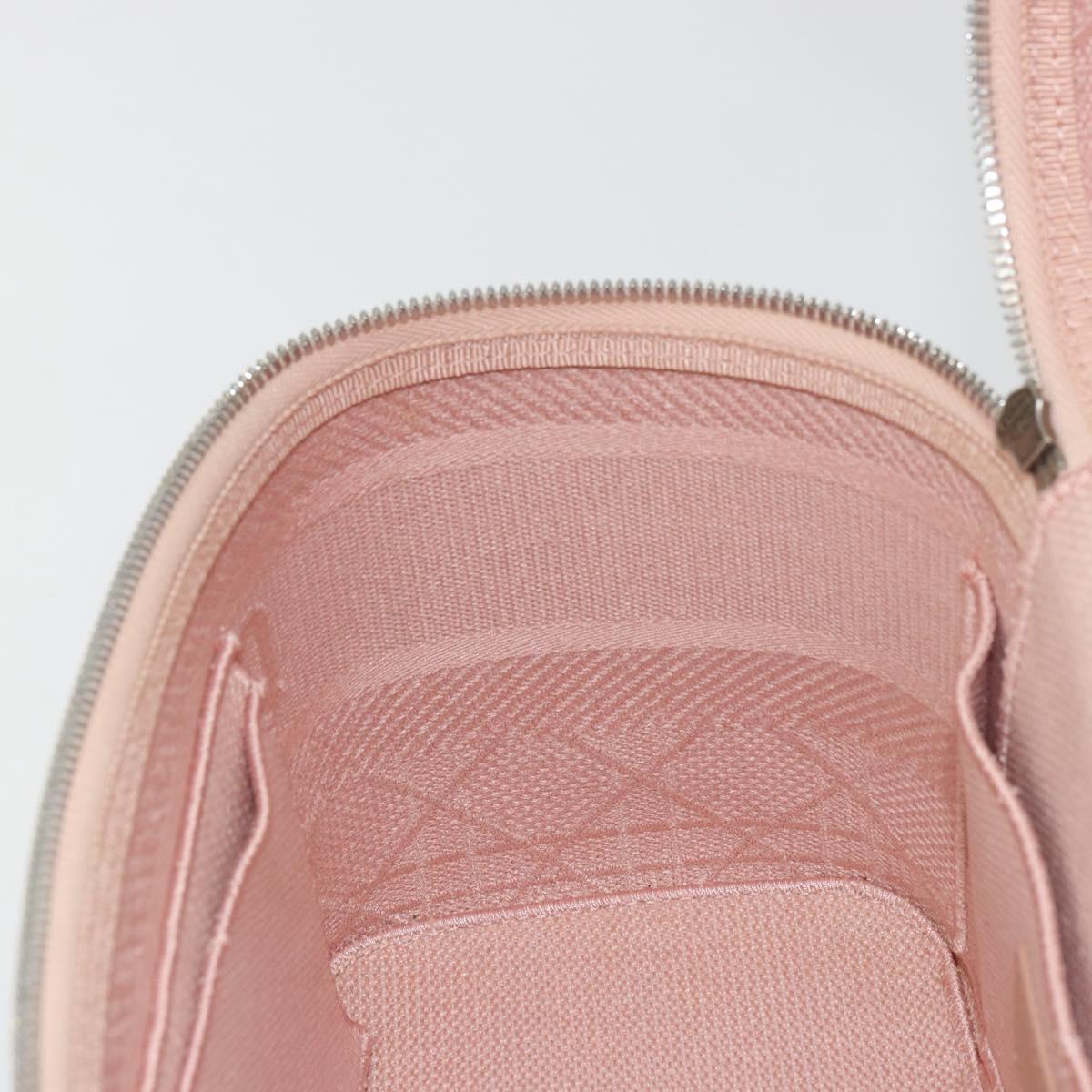 Christian Dior Vanity Hand Bag Canvas Pink Silver Auth ka4333A