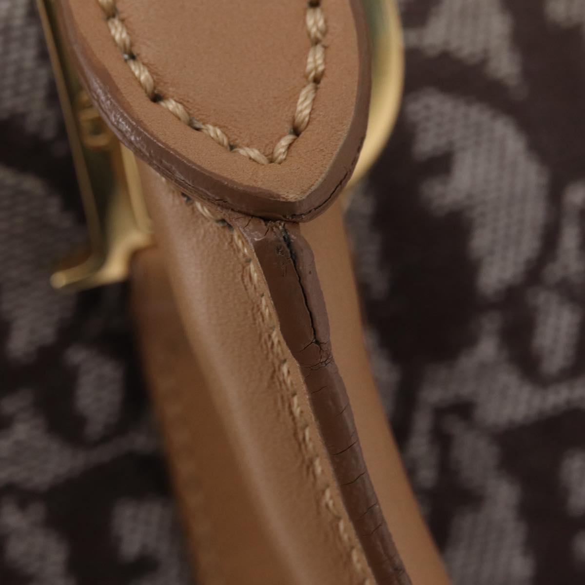Christian Dior Trotter Canvas Hand Bag Brown Gold Auth ka6338V