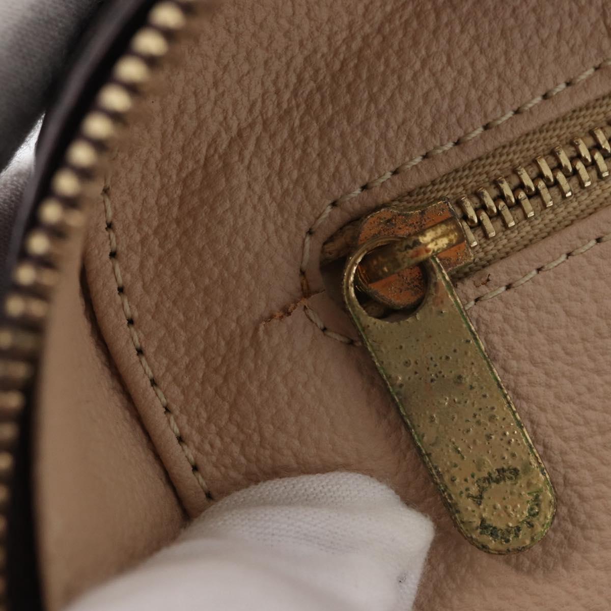 LOUIS VUITTON Monogram Vernis Vanity GM Amarante M93512 Auth ka927