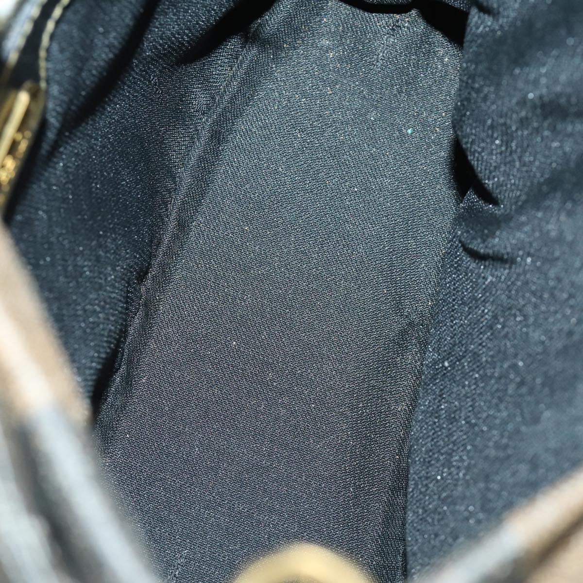 FENDI Pecan Canvas Hand Bag 2way Black Brown Auth kk604