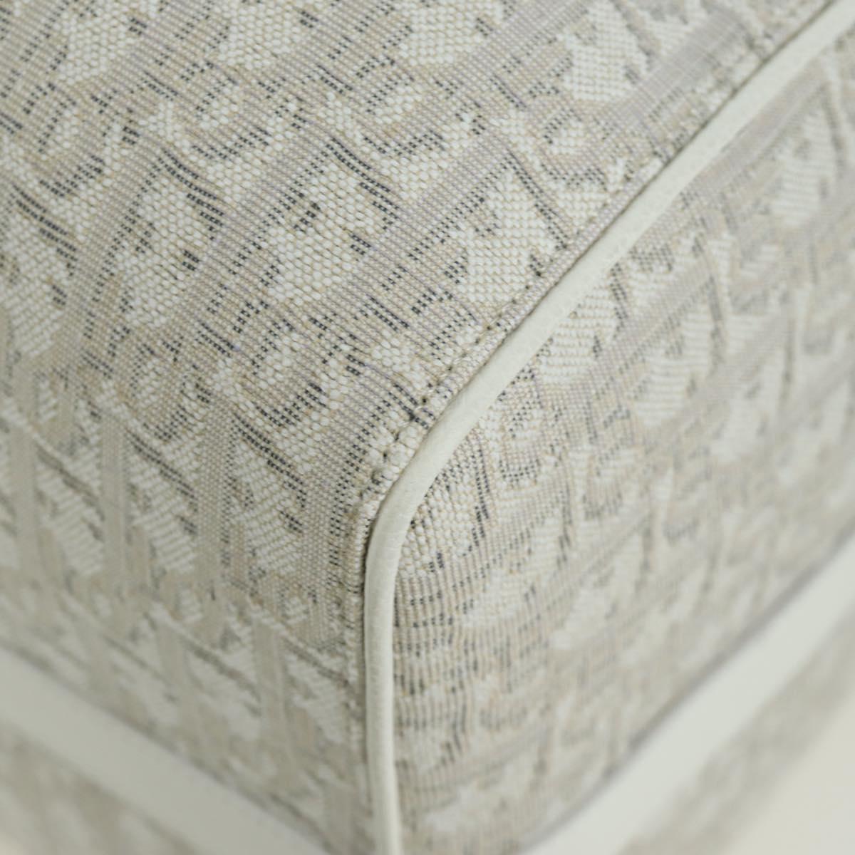 Christian Dior Trotter Canvas Boston Bag 2way White Auth LNZ433SM