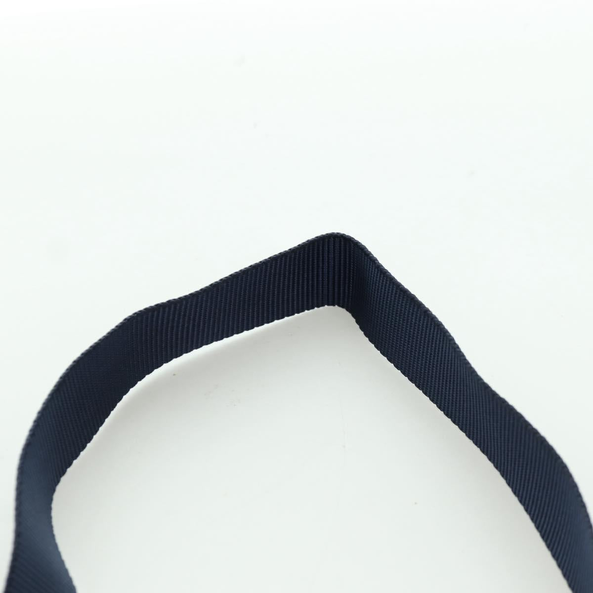 LOEWE Neck Pouch Canvas Blue Silver Auth LNZ470M