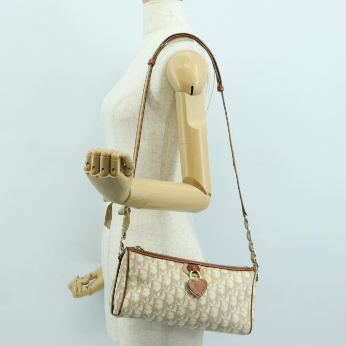 Christian Dior Trotter Canvas Romantic Bag PVC Ivory Silver Auth LNZ758SAV