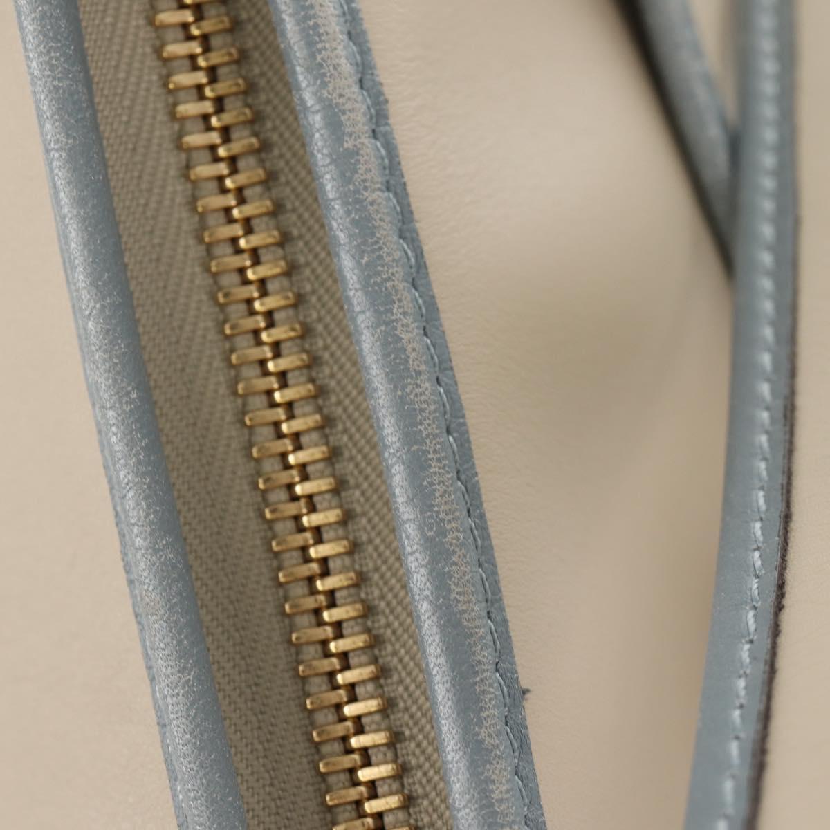 LOEWE Sofia Shoulder Bag Leather Ivory Gold Auth mr1551A