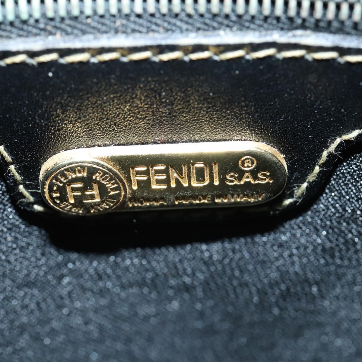 FENDI Pecan Canvas Hand Bag 2way Black Brown Auth mr1555