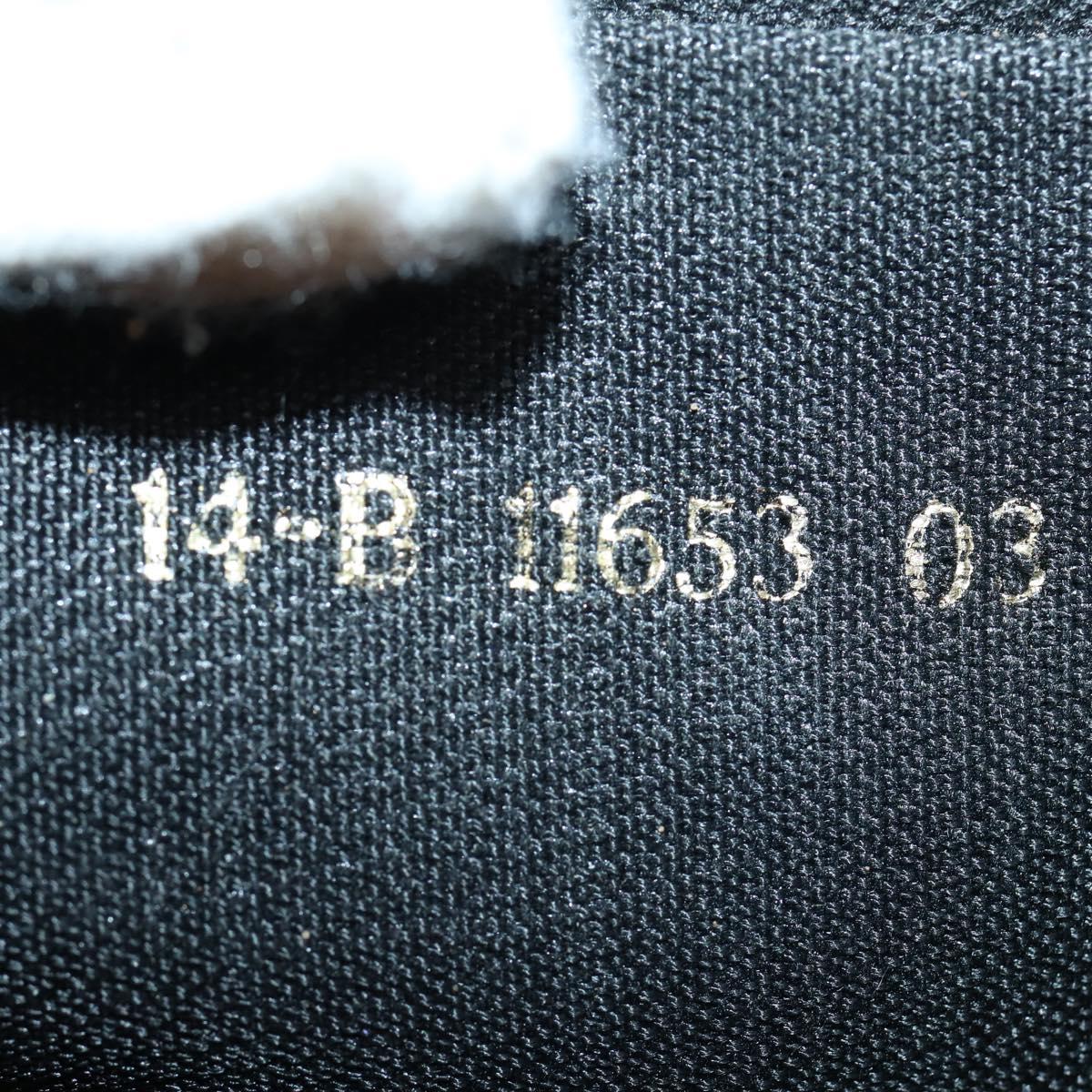 FENDI Pecan Canvas Hand Bag 2way Black Brown Auth mr1555